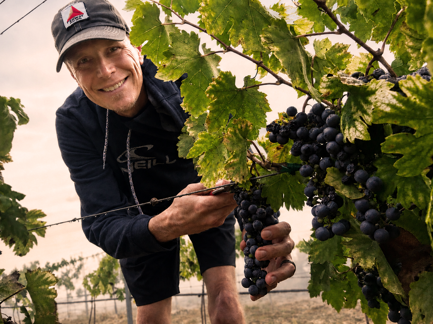 Blaine holding a freshly harvested bunch of estate grapes