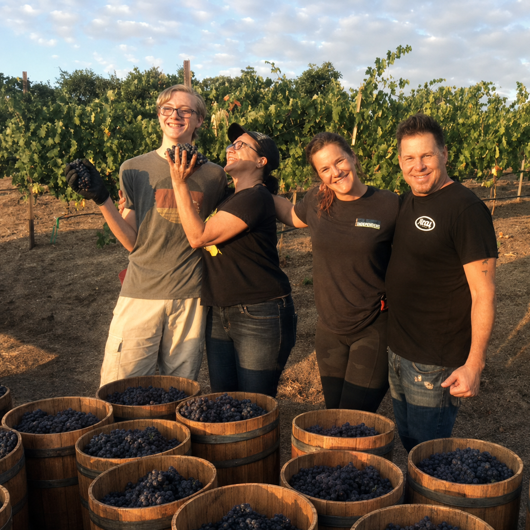 Harvest crew celebrating with barrels full of freshly picked estate grapes