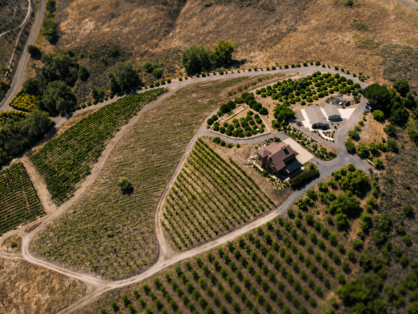 Rolling hills and vineyard rows of Temecula Valley